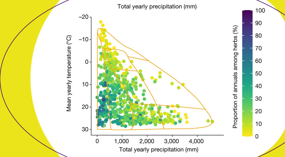   N + 1; Tyler Poppenwimer et al. / Nature, 2023