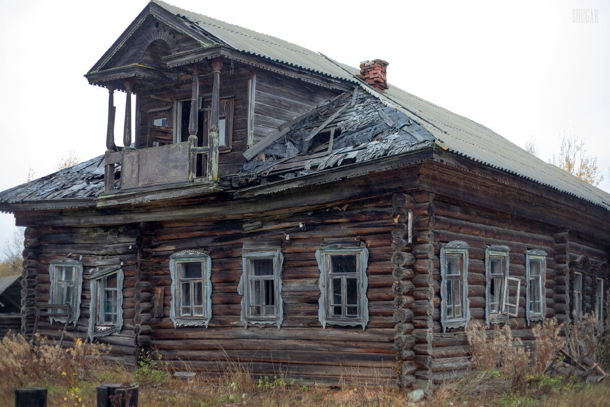 Медвежий угол. Костромские деревни Большая Торзать, Малая Торзать | Света  Шуга | Дзен