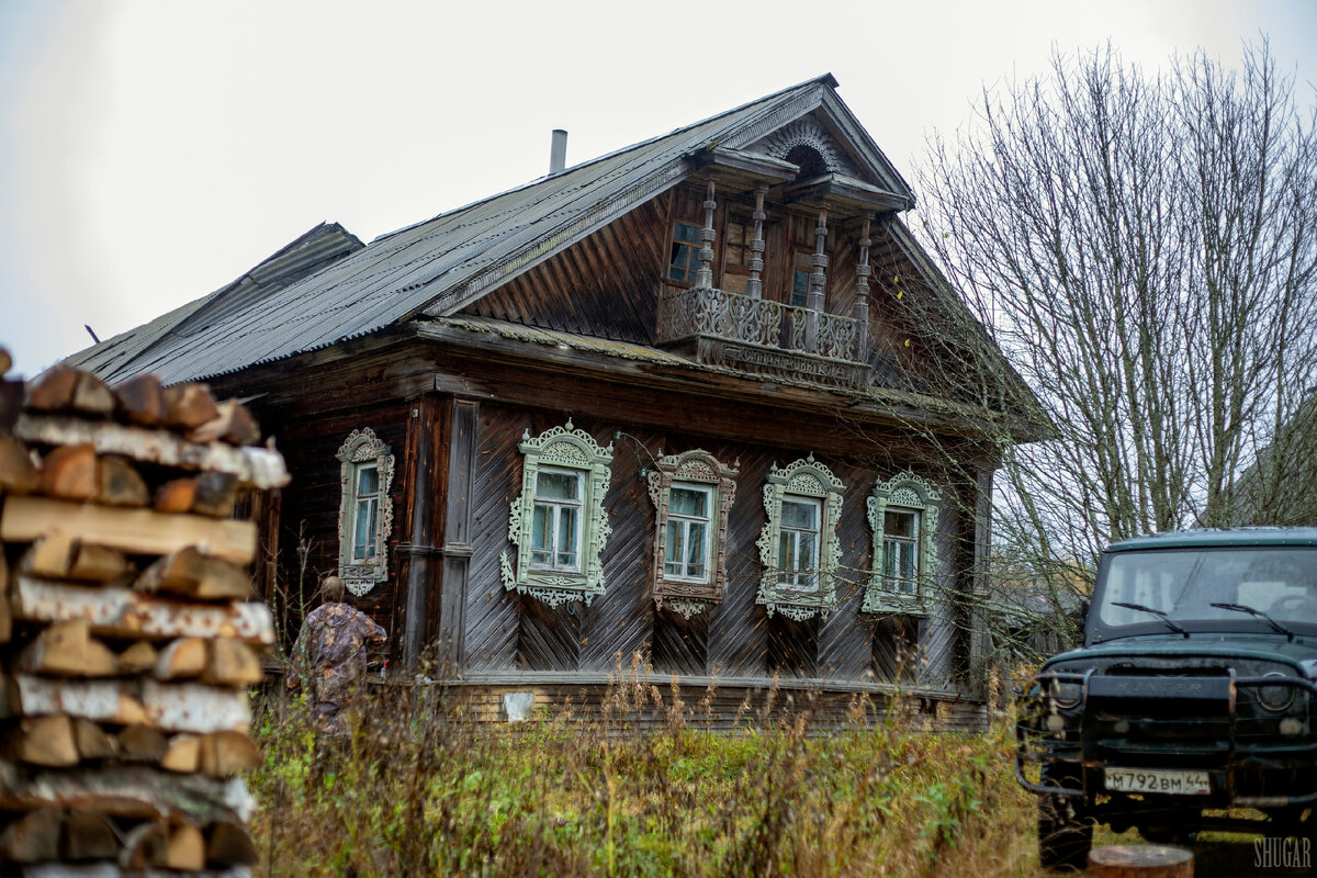 Медвежий угол. Костромские деревни Большая Торзать, Малая Торзать | Света  Шуга | Дзен