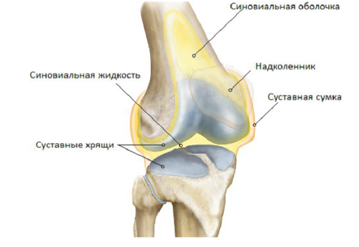 Операция коленного хряща