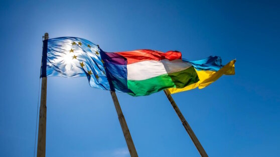    Венгрия предложила предоставить Украине особое партнерство вместо членства в ЕС Богдан Герцен