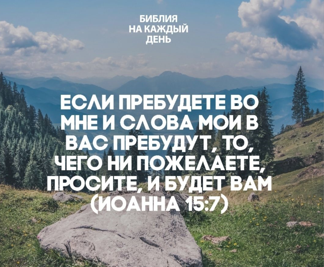 Какие условия необходимы для спасения души? Ищем ответ на страницах  Евангелия | Святые места | Дзен