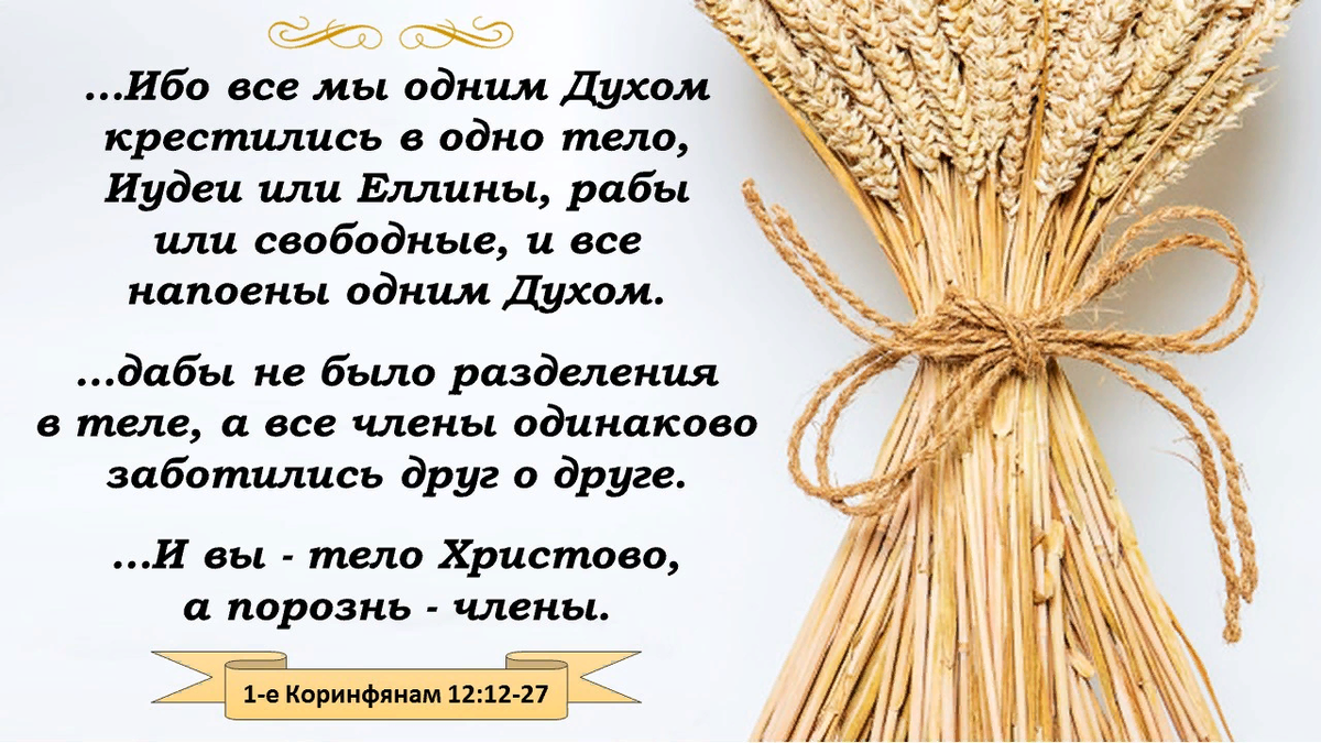 Какие условия необходимы для спасения души? Ищем ответ на страницах  Евангелия | Святые места | Дзен