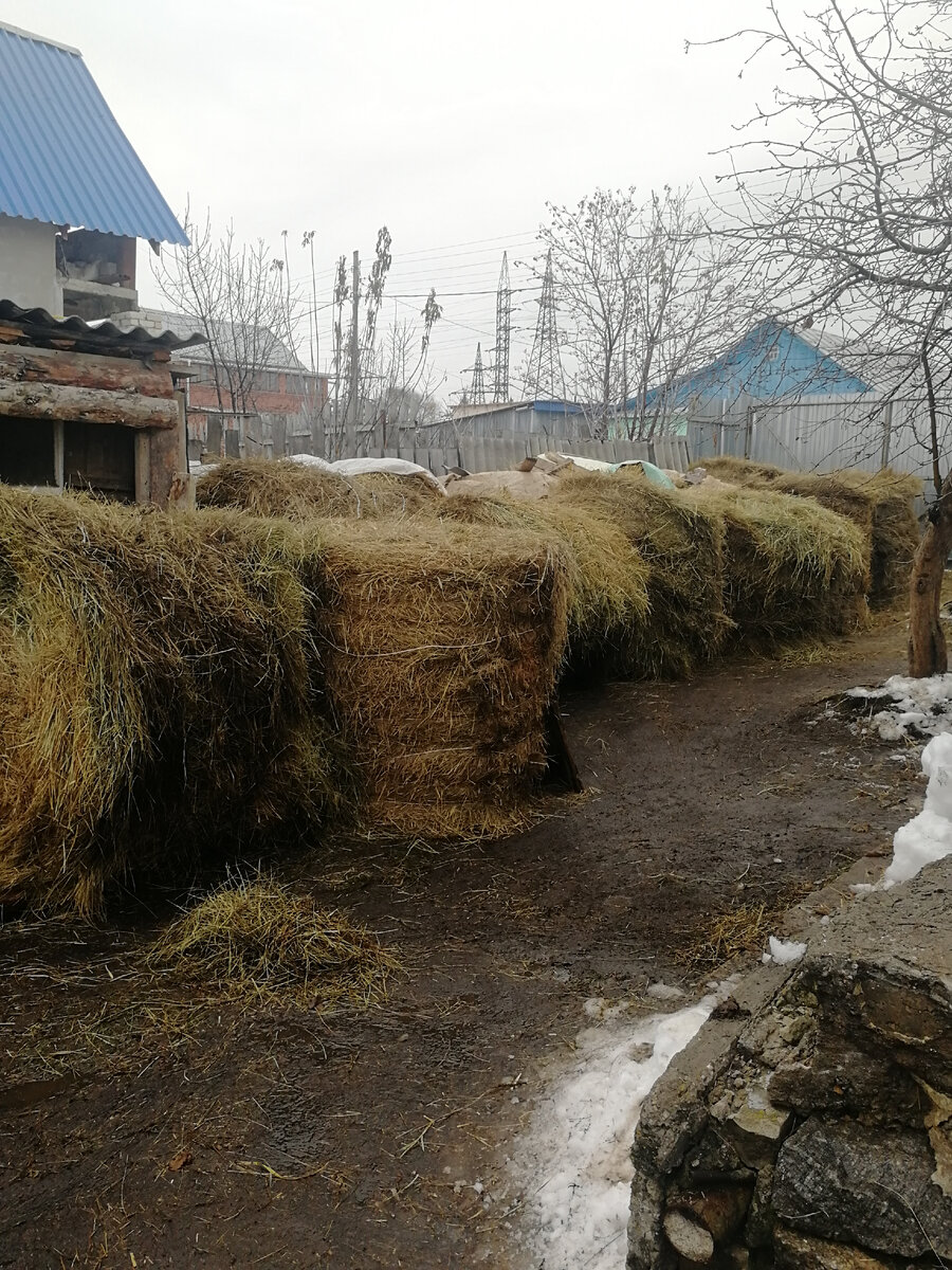 Фото автора канала.