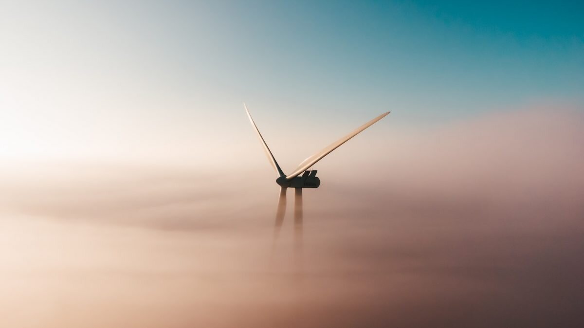    Фото: Unsplash Август Макаров