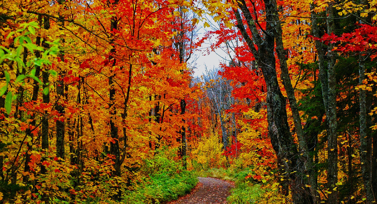 Картинка из источника в свободном доступе.