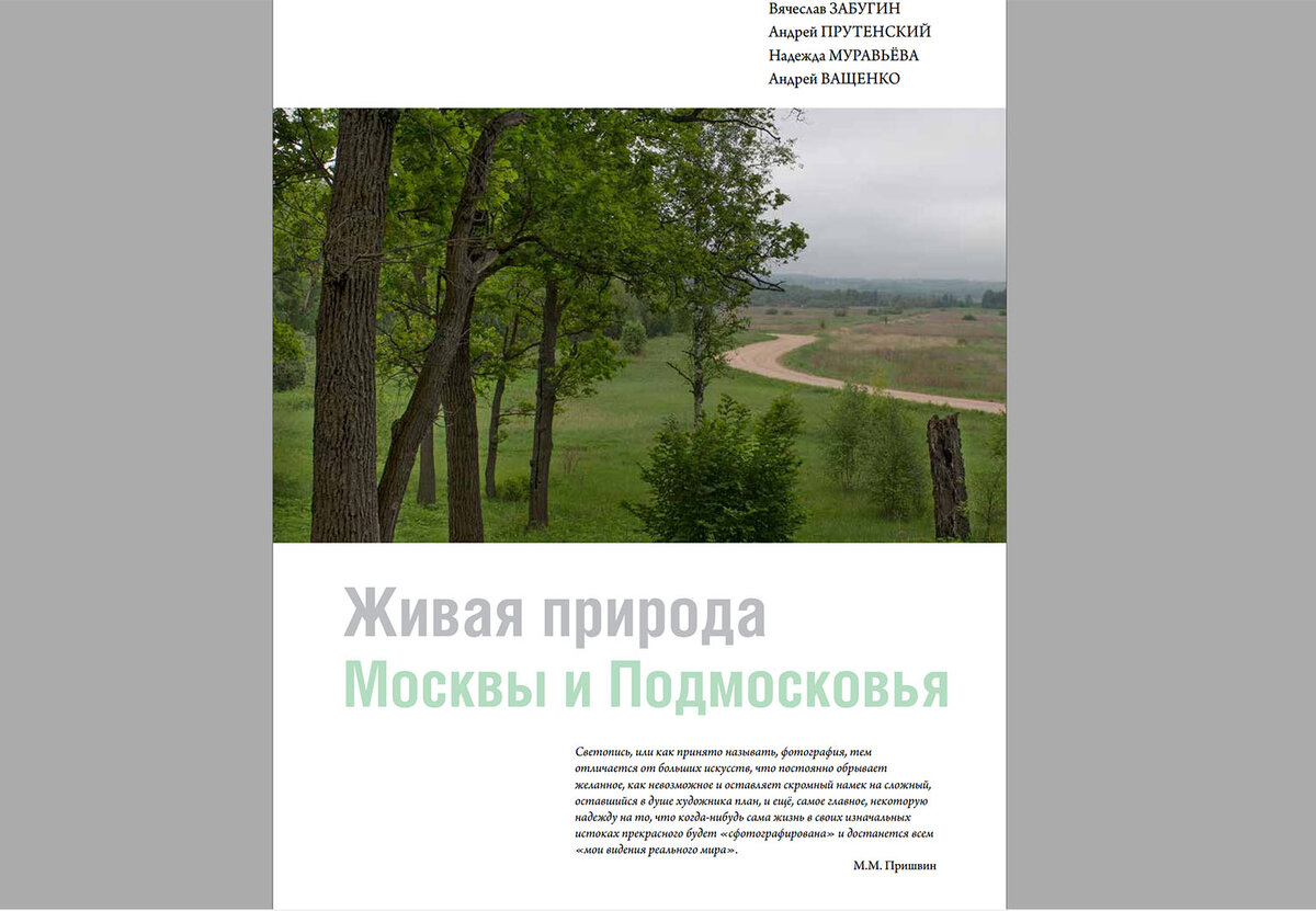 В качестве соавторов я пригласил двух фотографов дикой природы (Андрей Прутенский и Надежда Муравьева) и литературного редактора-энтомолога в одном лице (Андрей Ващенко)