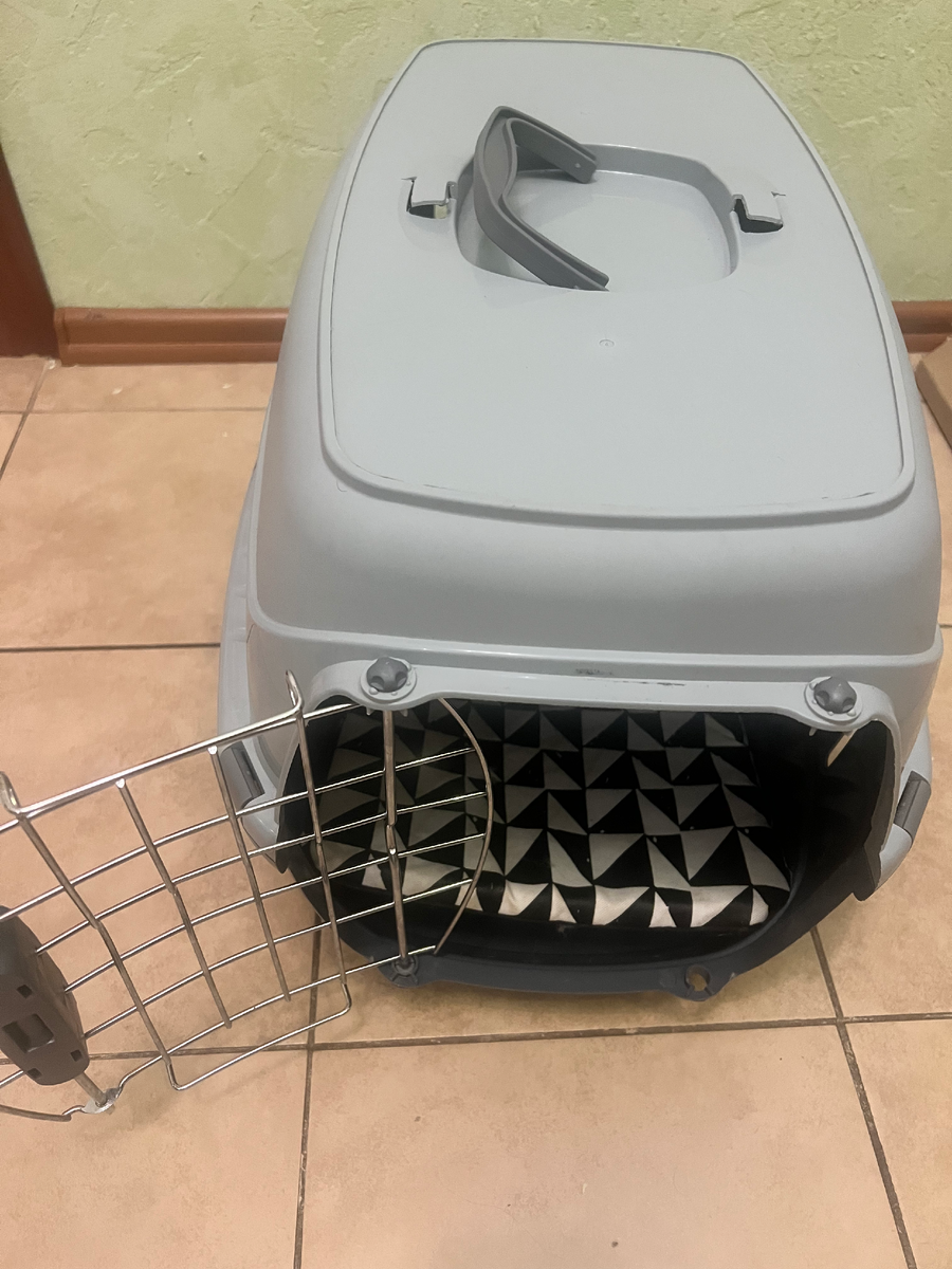 Переноска Moderna