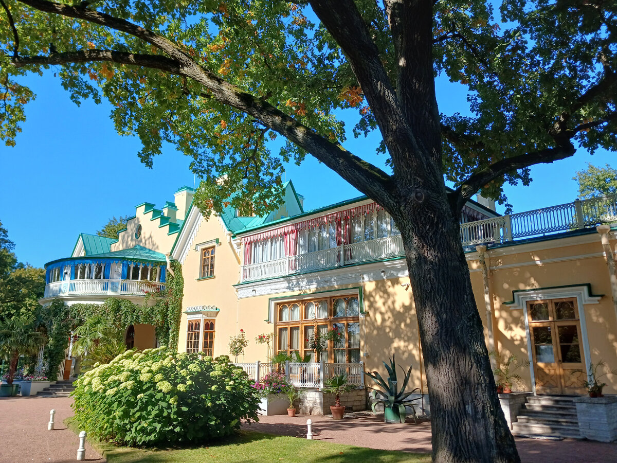 Дворец "Коттедж"