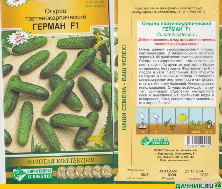 Огурец герман описание сорта фото отзывы садоводов