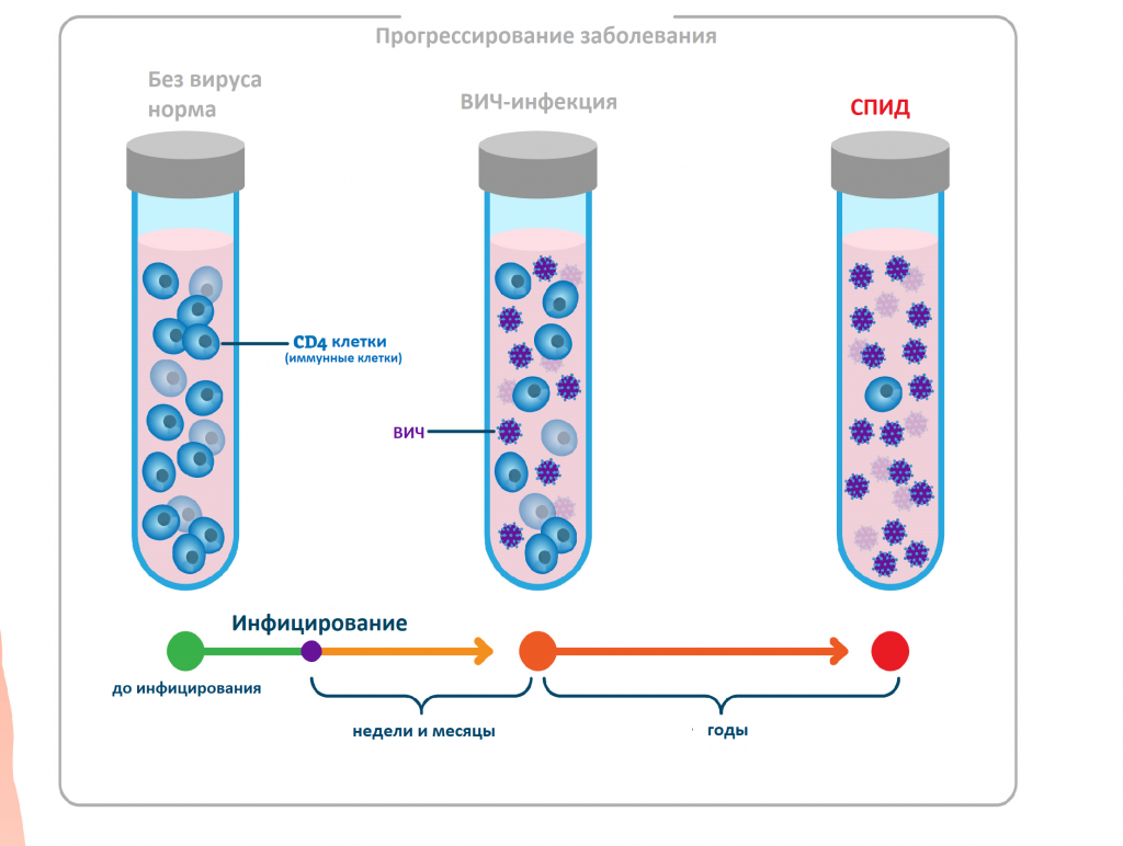 Антитела к human immunodeficiency virus 1. ИФА p24 антиген. АТ К ВИЧ 1/2 антиген p24. Исследование крови в ИФА на ВИЧ инфекцию. ВИЧ 1 2 АГ/АТ что это.