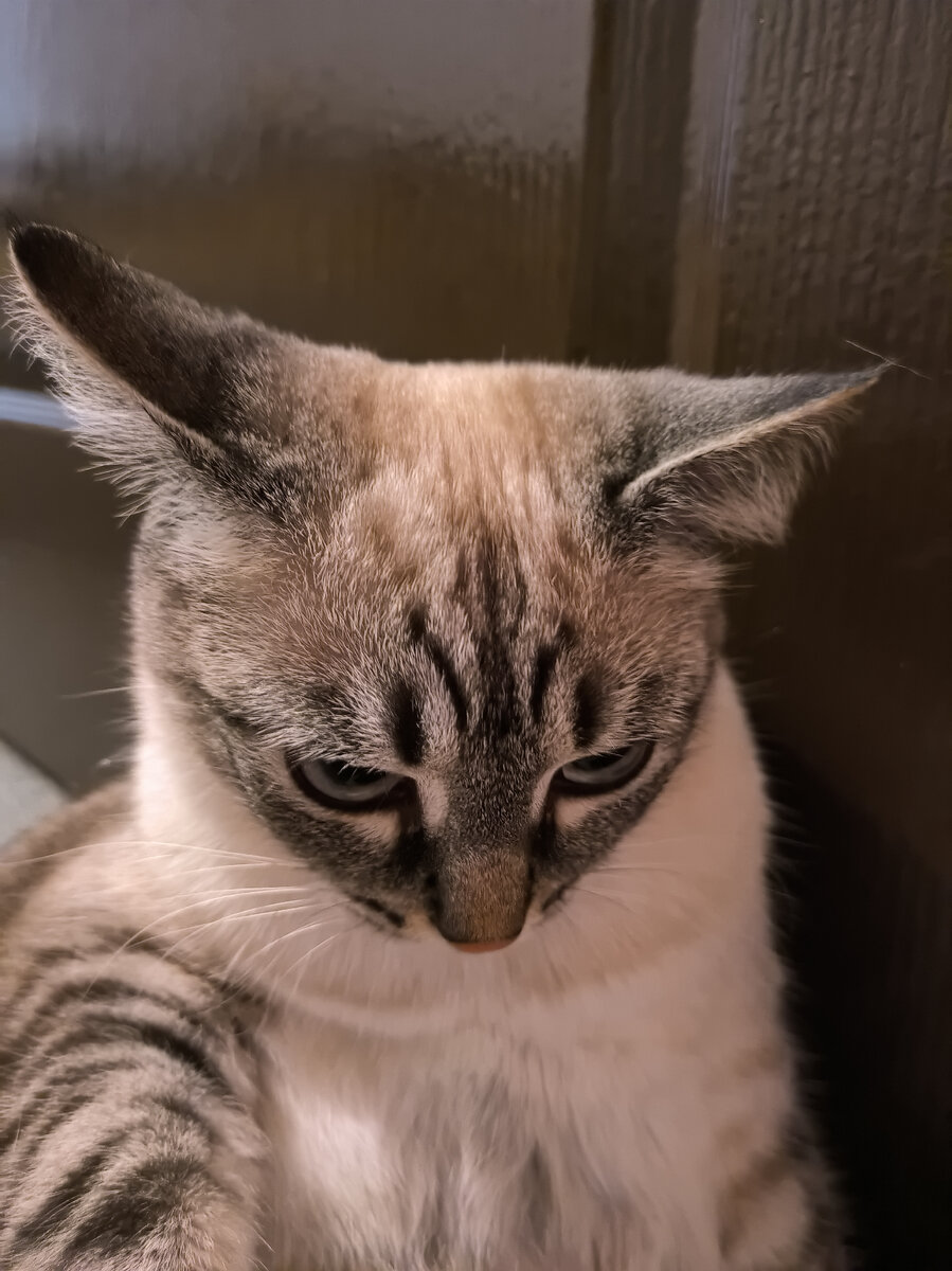 Это я когда думаю, что сейчас написала.