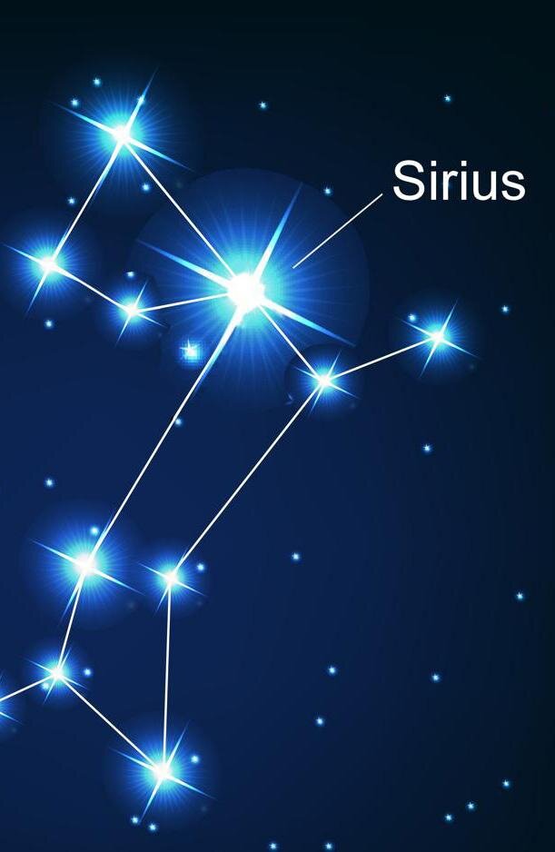 Sirius. Сириус звезда в созвездии. Сириус Созвездие самая яркая звезда. Звезда каникула Сириус. Самая яркая звезда в созвездии большого пса.