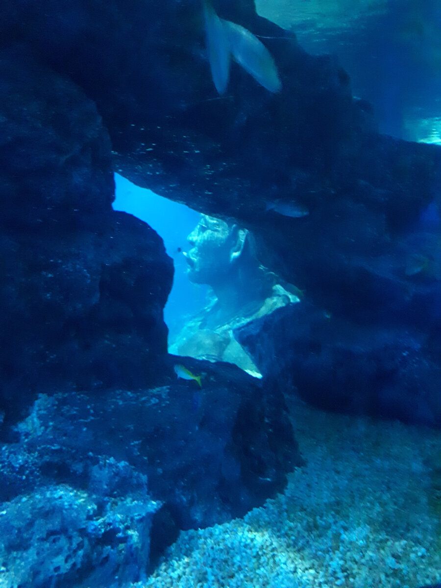 Морское дно