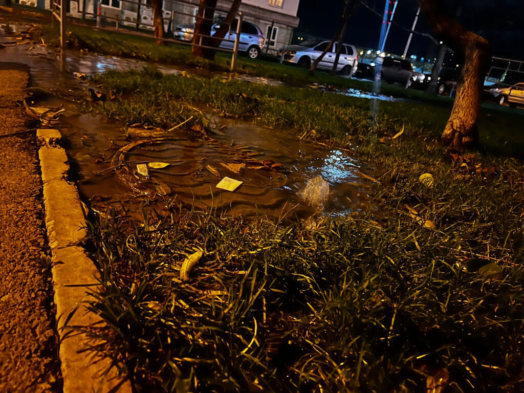    c8acdbc5-9202-41eb-a5b1-498189fed534