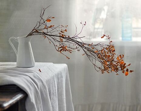 Фото photosight.ru