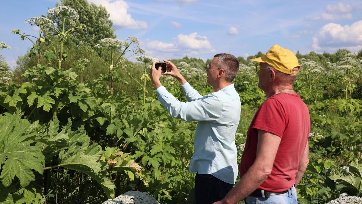    “Есть вопросы”: эксперт оценил перспективы мискантуса стать новым борщевиком © РИА Новости | Павел Львов