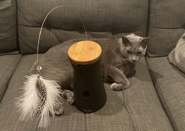 https://www.pcmag.com/reviews/furbo-360-cat-camera