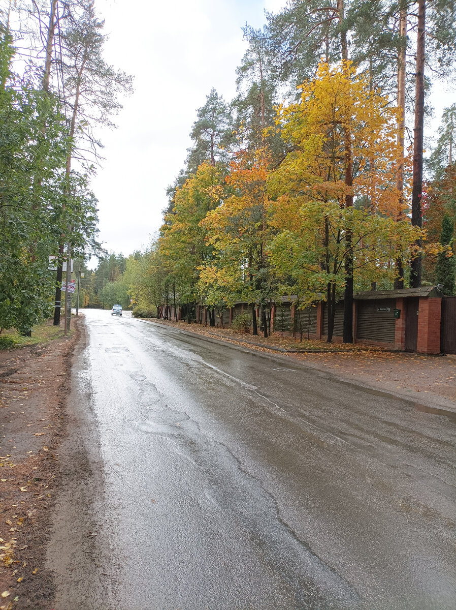 Пр. Грибоедова во Всеволожске по дороге к заказнику
