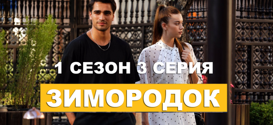 Зимородок: смотреть 1 сезон 3 серия на русском языке онлайн в хорошем качестве