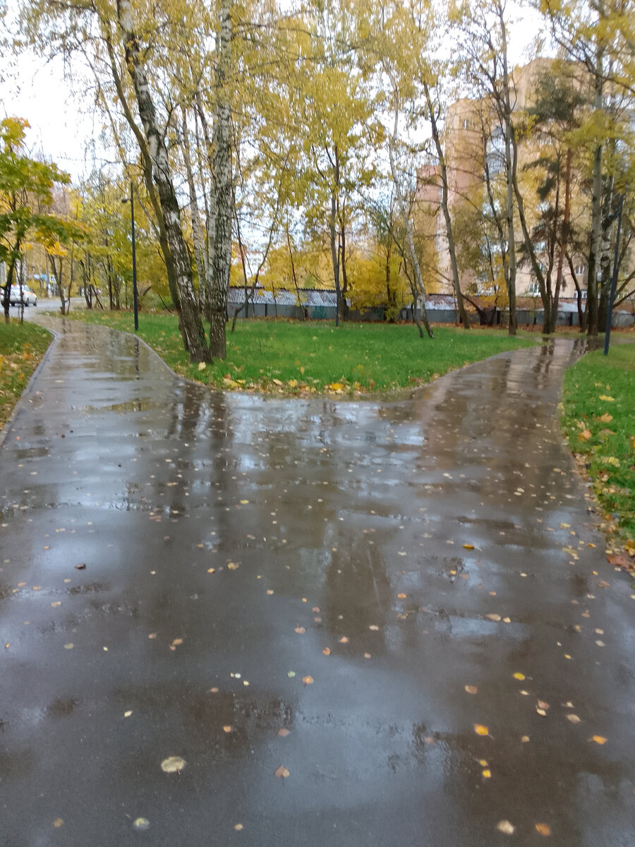 Моя тропа. Фото автора