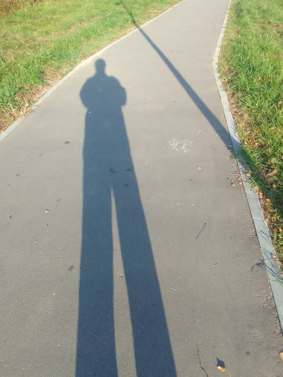 Это я в октябре, солнце. Фото автора.