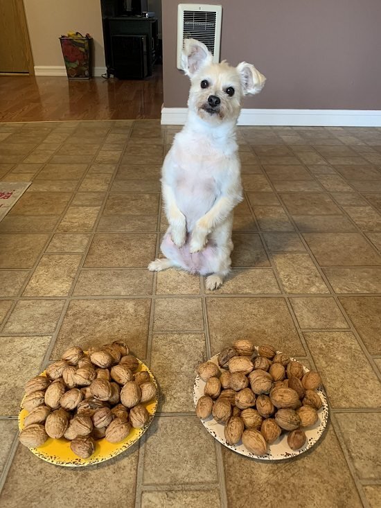 фото из открытого источника