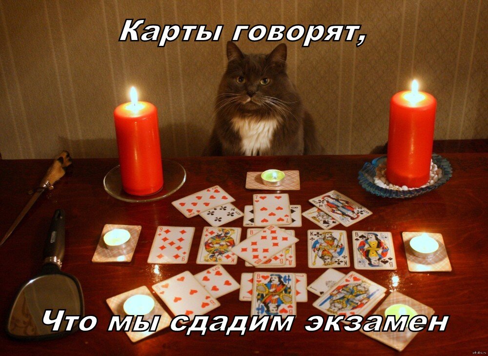 Хоть это были и не карты)