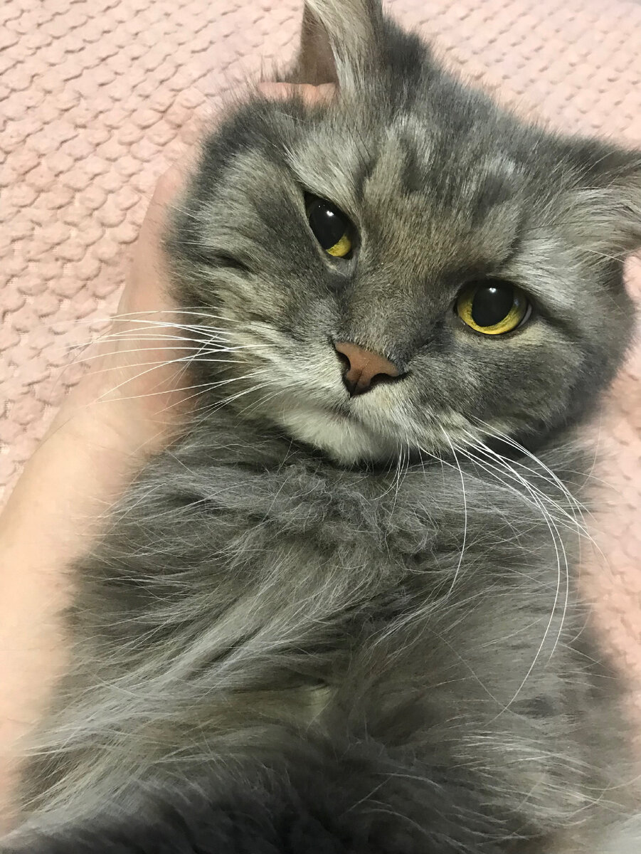 Все фото Автора канала.