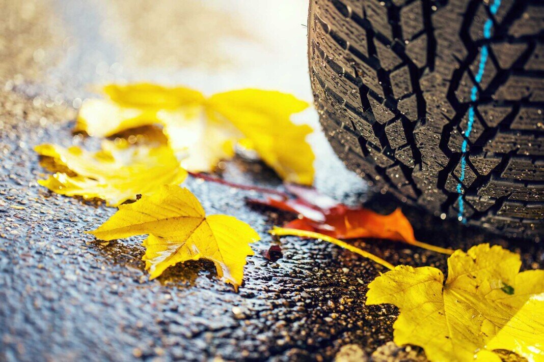 Винтеррайфен, Хербстлауб, Символбилд, Рутшгефар