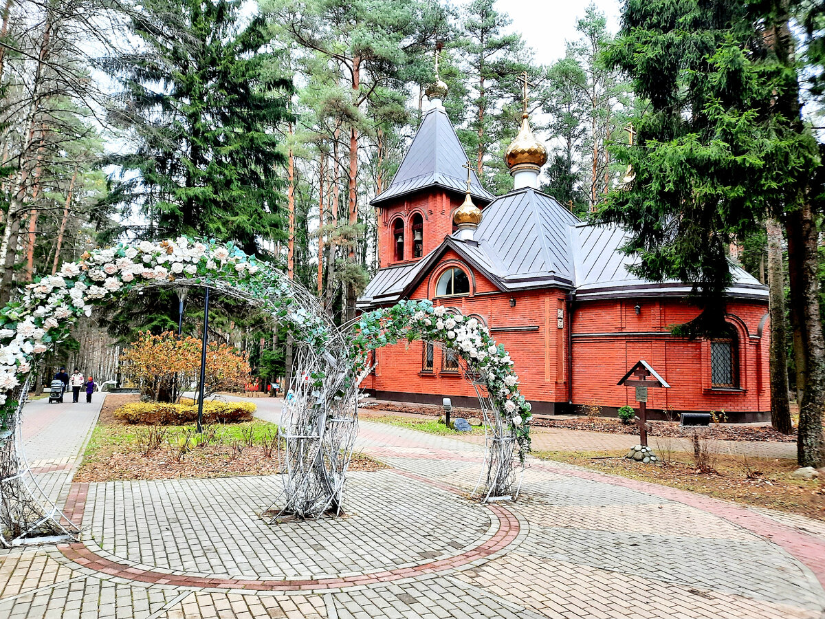 Мед елочки домодедово