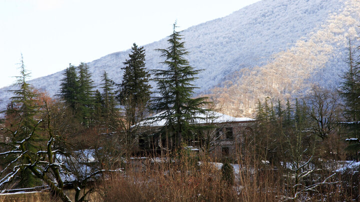 ФОТО: EKATERINA ANPILOGOVA/RUSSIAN LOOK/GLOBALLOOKPRESS