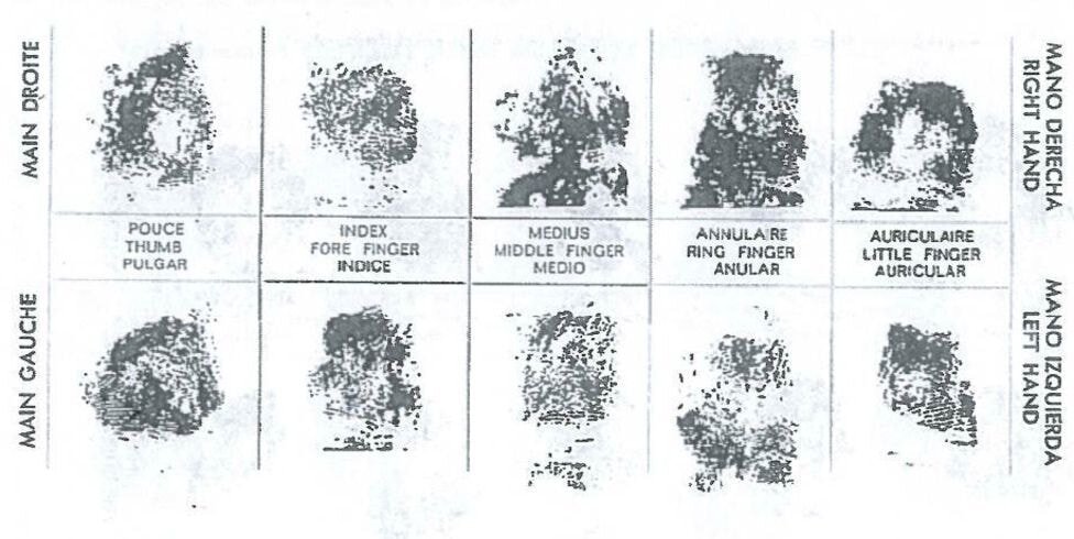 Из открытых источников.