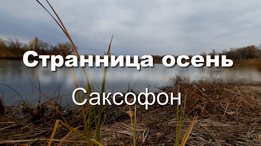 Странница осень. Саксофон. Мелодии осени. Музыка для души