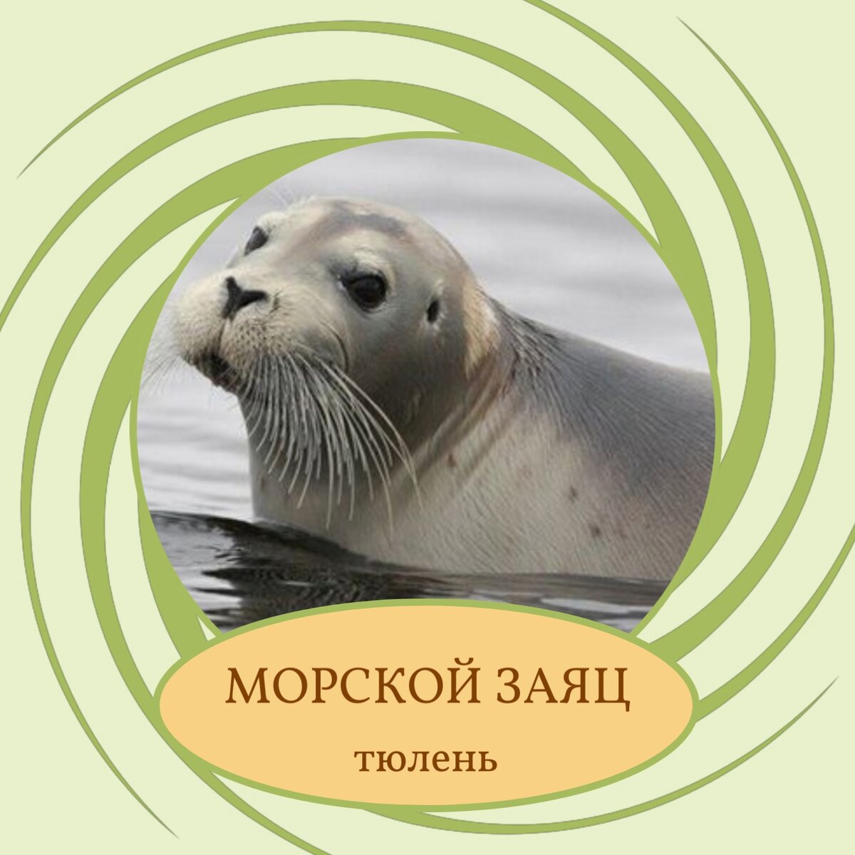 Словосочетание морское