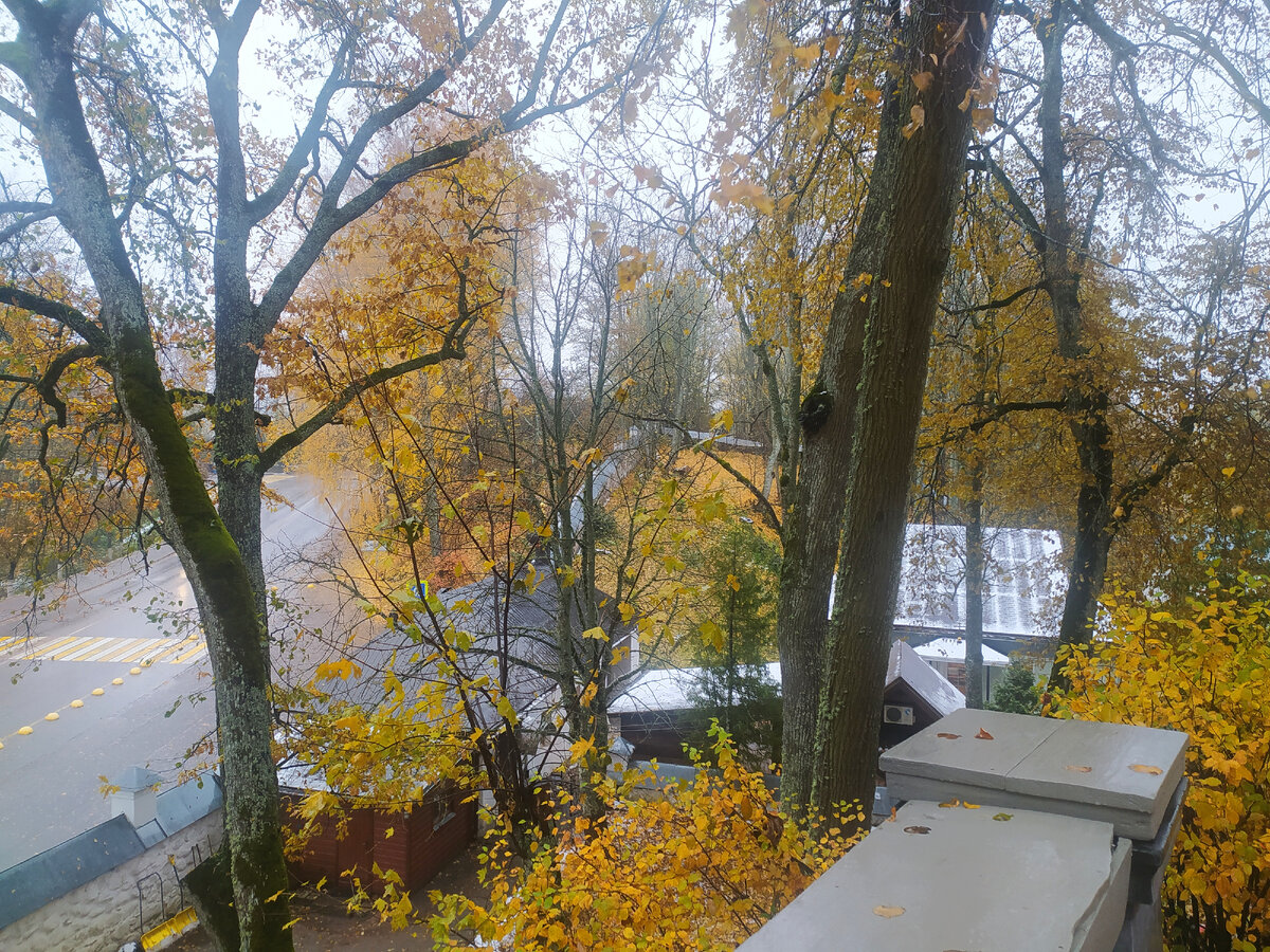 Вид сверху из Святогорского Свято-Успенского монастыря /фото автора