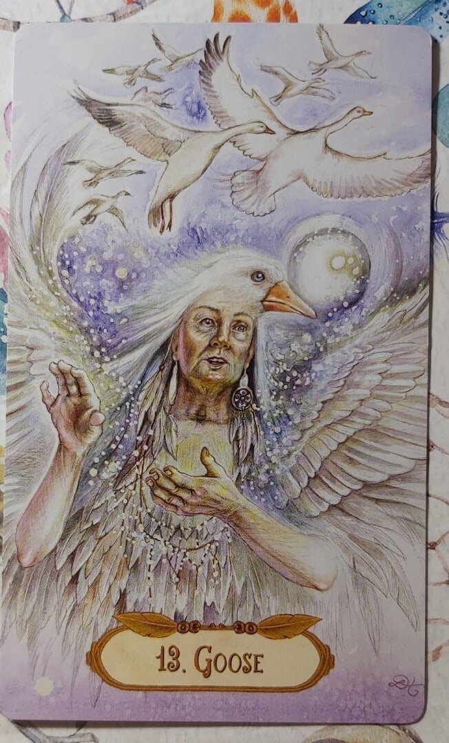 Колода:  "The Winged Enchantment Oracle" 