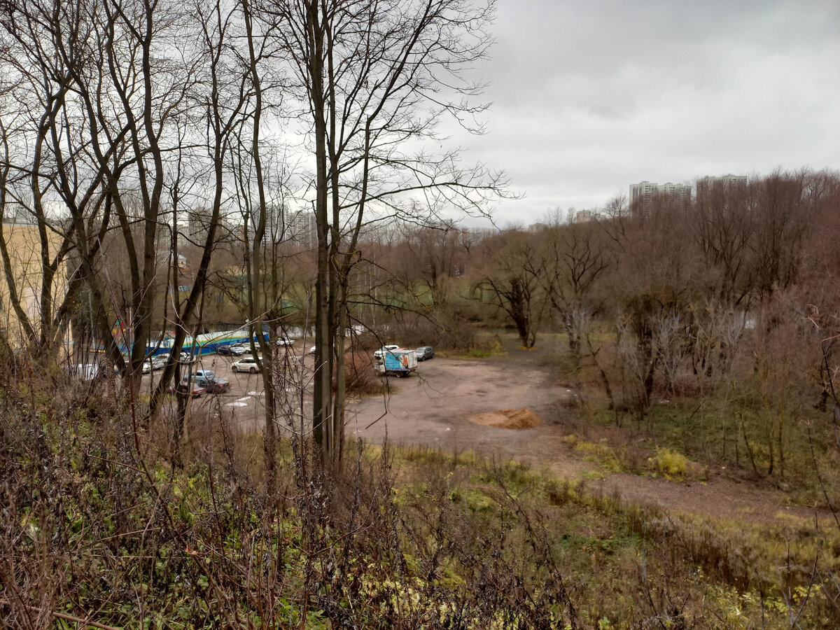 Письмо Собянину на деревню | Маргарита Макарова | Дзен