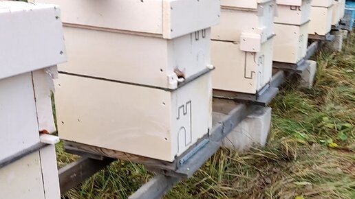 Видео | Ульи (Вулики) и Рамки для пчел