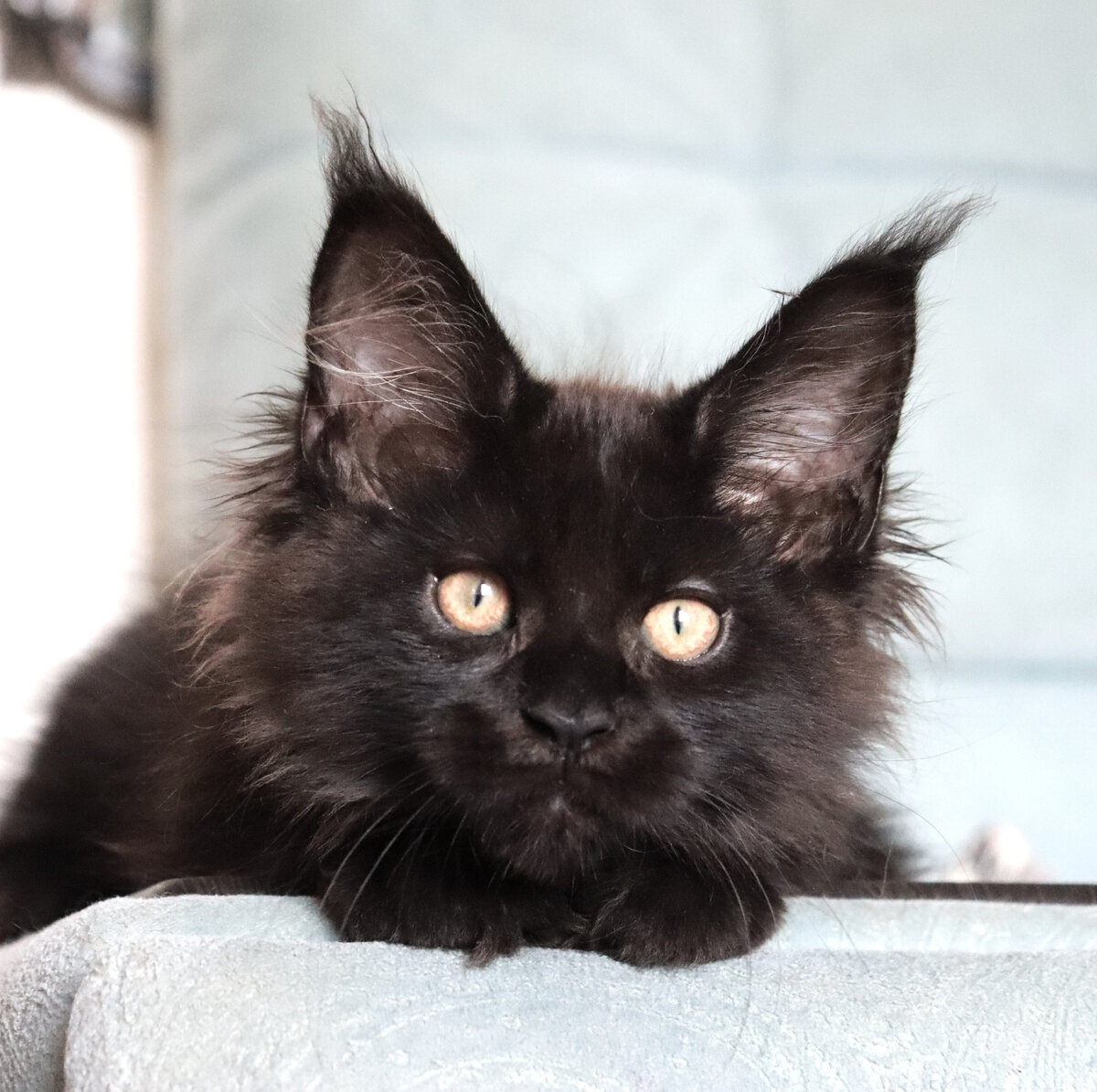 Фото из личного архива.