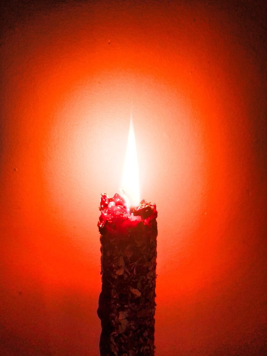 Почему я работаю только с пчелиным воском | Marga. Творческая ...