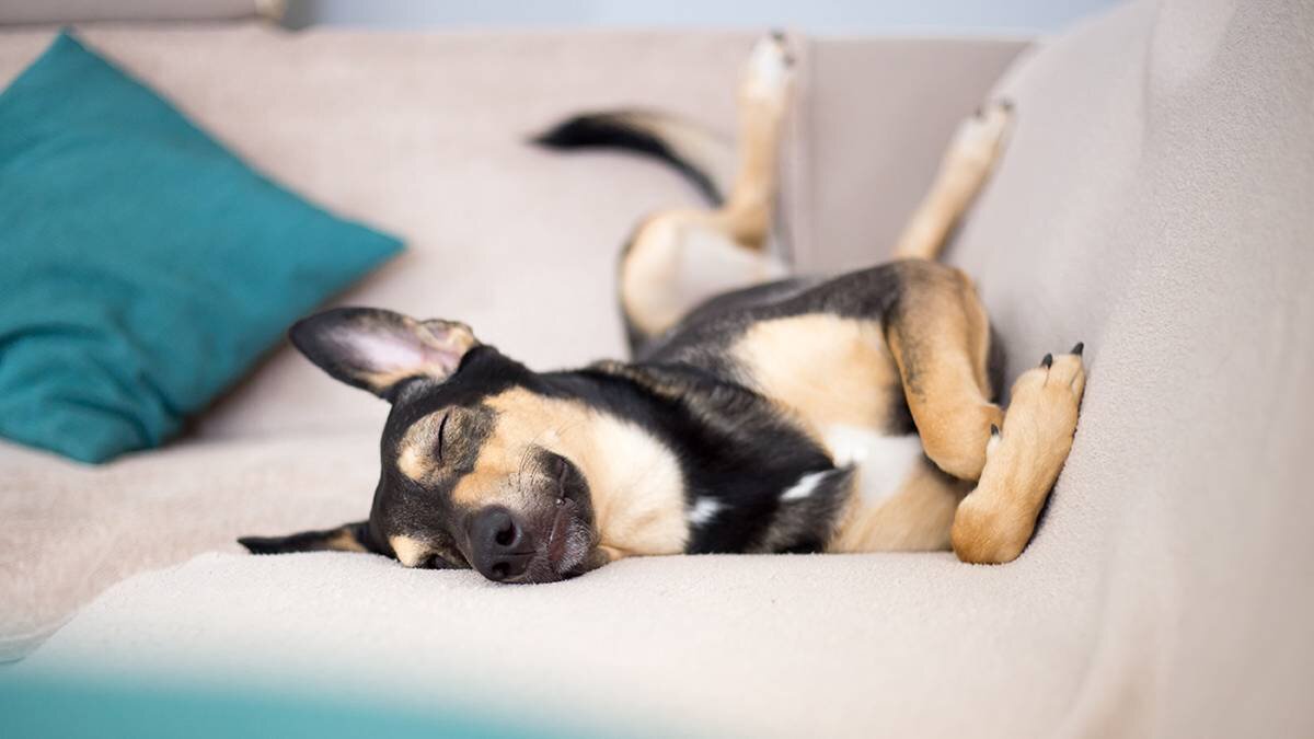   Фото: Shutterstock