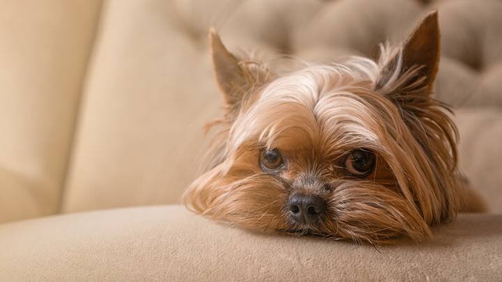  Фото: Shutterstock