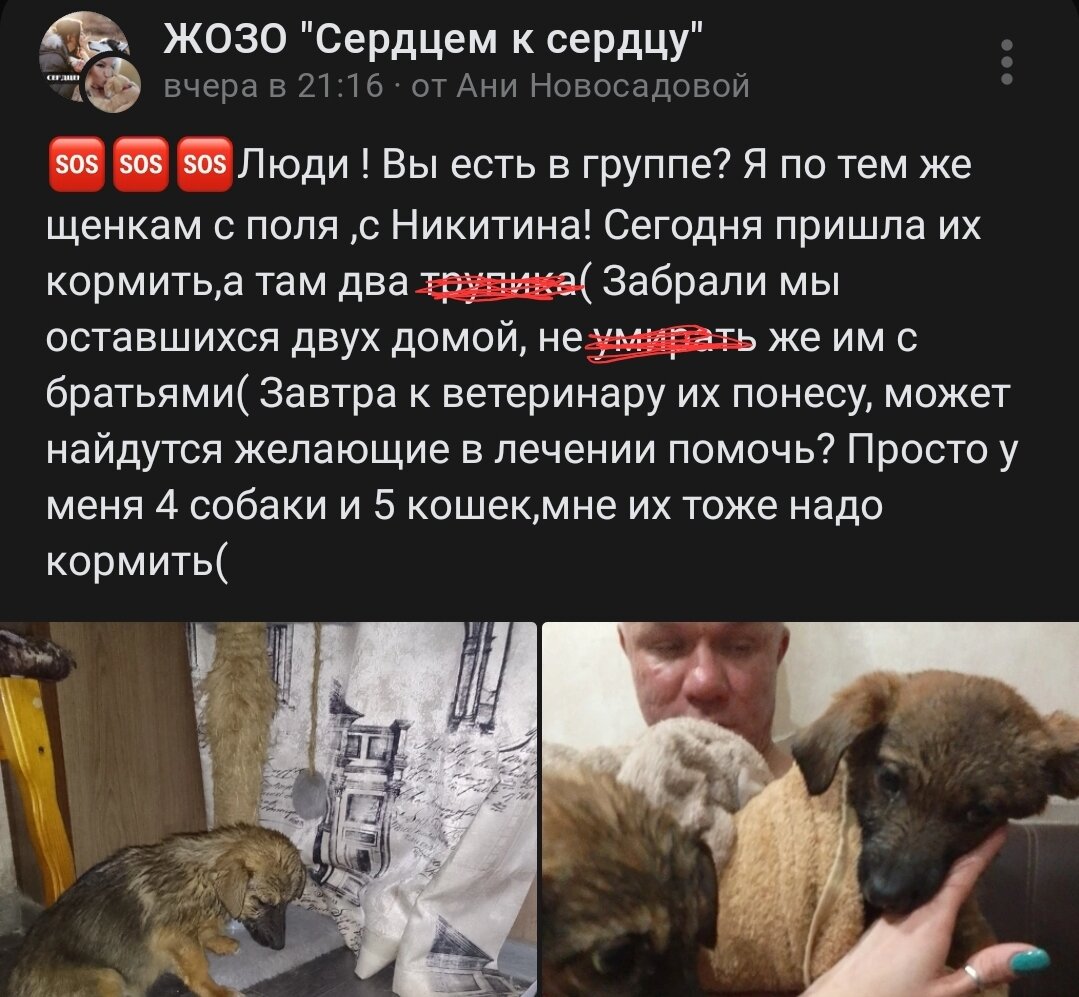 Просьба о помощи. Пост https://vk.com/wall-124002988_321887