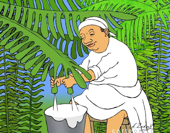 рабыня Изаура производит пальмовое масло