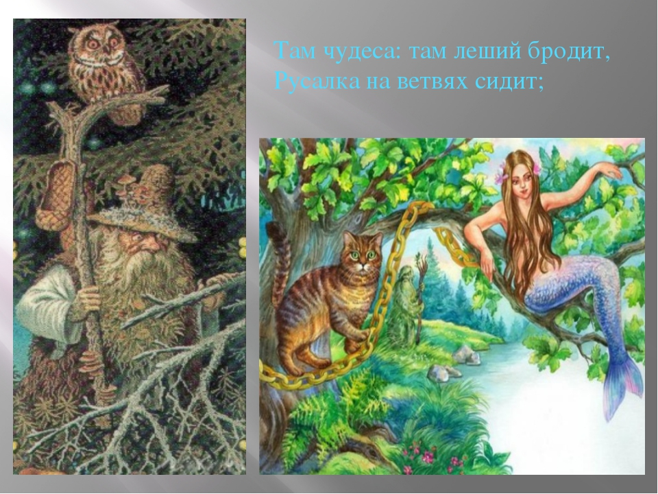 Сидит на дубе том. Русалка на ветвях сидит Пушкин. Пушкин Лукоморье Леший. Русалка у Пушкина на ветвях сидит. Пушкин у Лукоморья иллюстрации Леший.