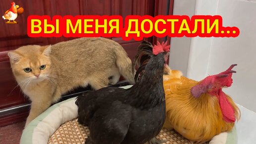 Русская динамическая игрушка