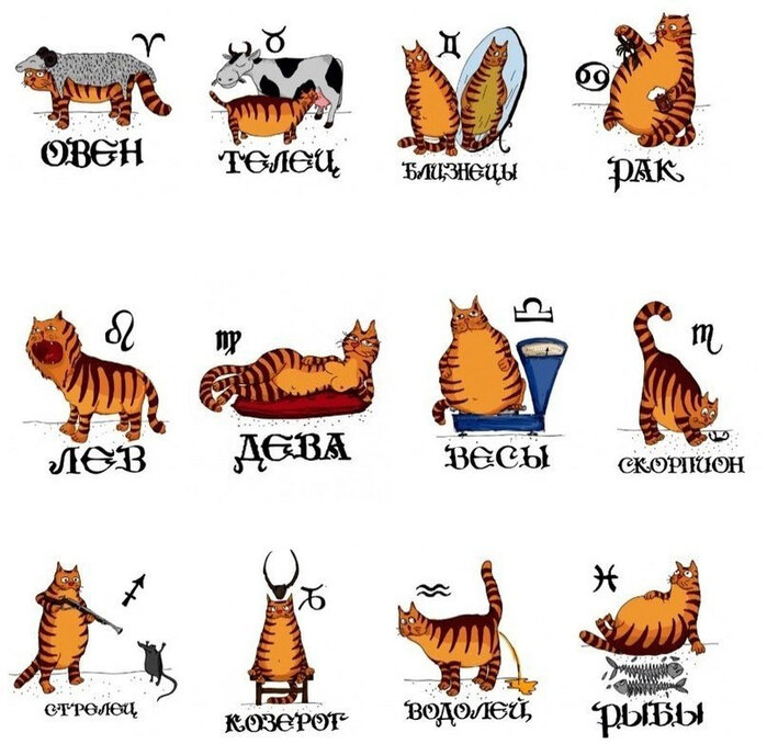 рисунок из интернета