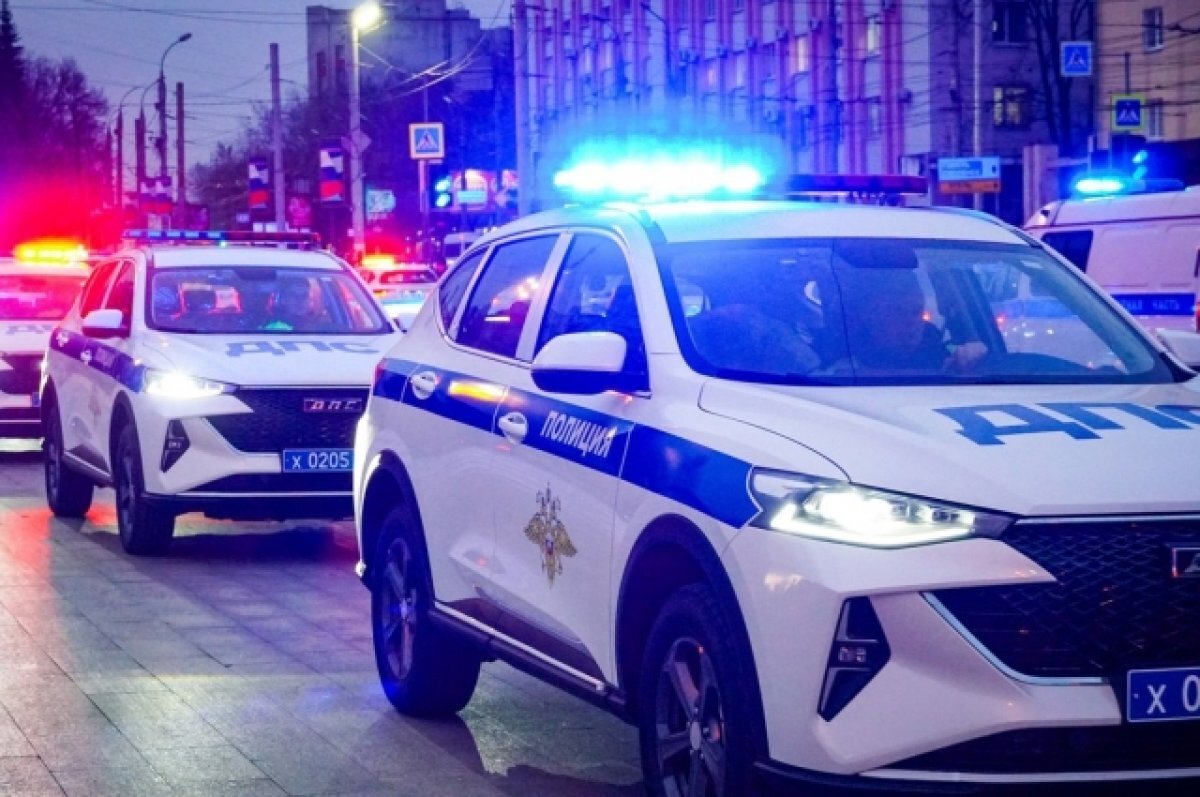    В канун праздника автопарк брянской полиции пополнился 18 автомобилями