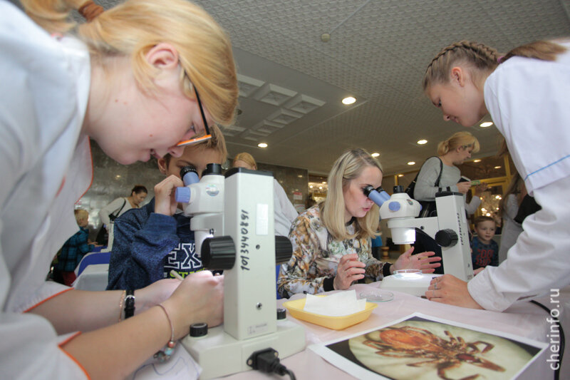    На фестиваль "Наука 0+" череповчан приглашают 11 и 12 ноября